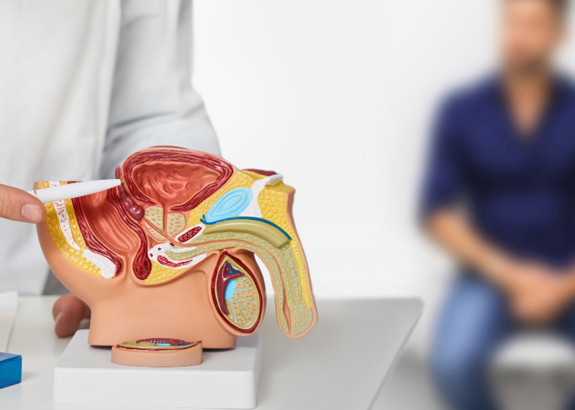 Diagnostic Cystoscopy
